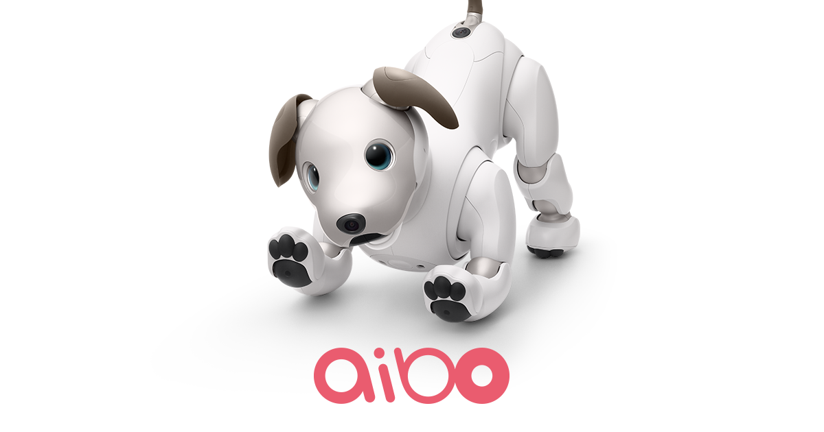 【aibo（アイボ）】ペット型ロボットおすすめランキング！犬型ロボットはここまで進化。