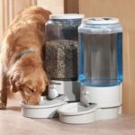 【2023年最新 】ペット用自動給餌器がすごい！おすすめベスト１０！犬猫どちらも利用可能